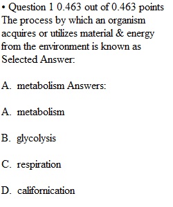 Lecture Exam 1